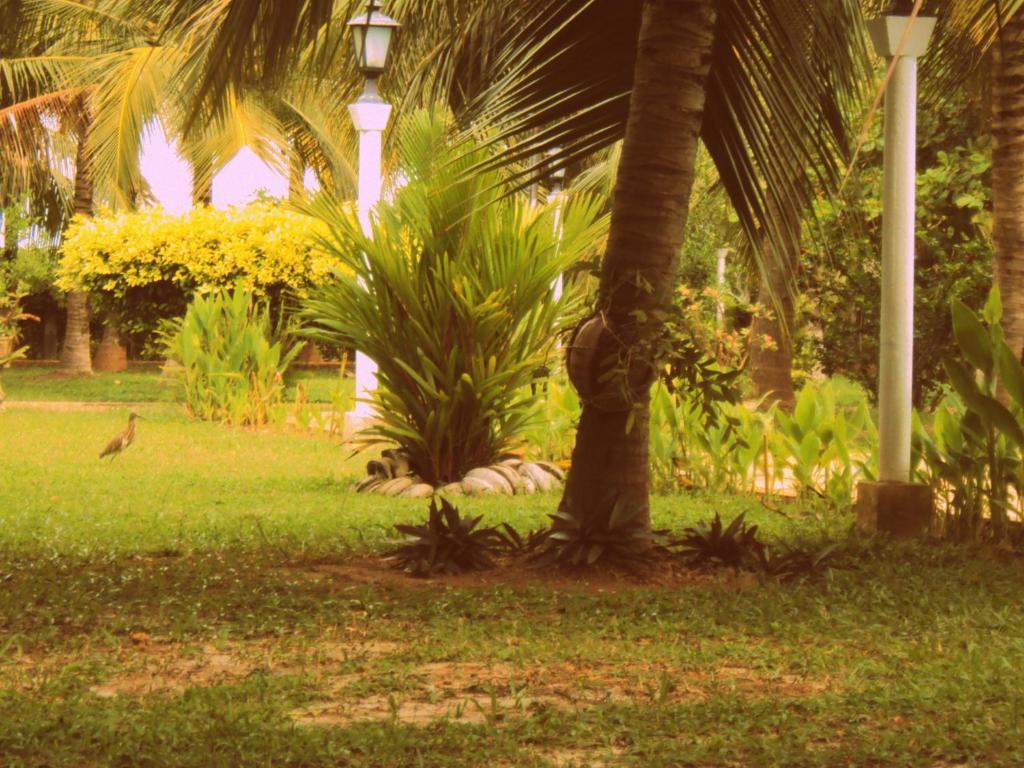 Hotel Lagoon Paradise Negombo Esterno foto