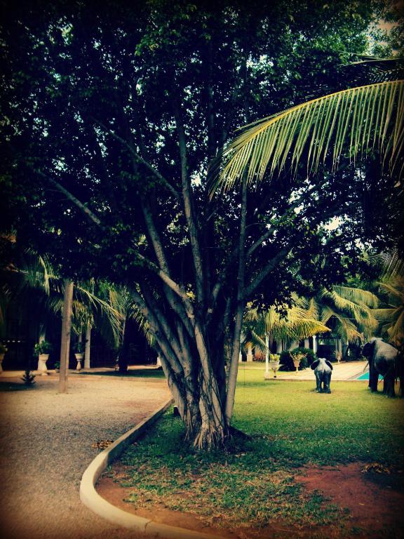 Hotel Lagoon Paradise Negombo Esterno foto