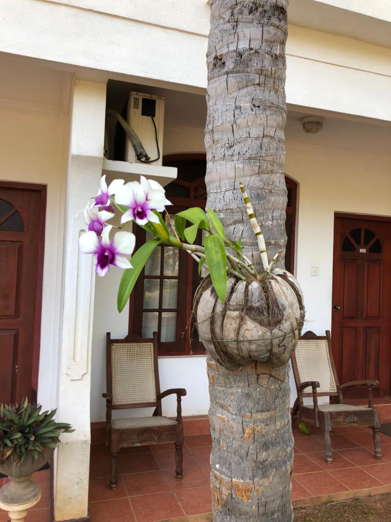 Hotel Lagoon Paradise Negombo Esterno foto