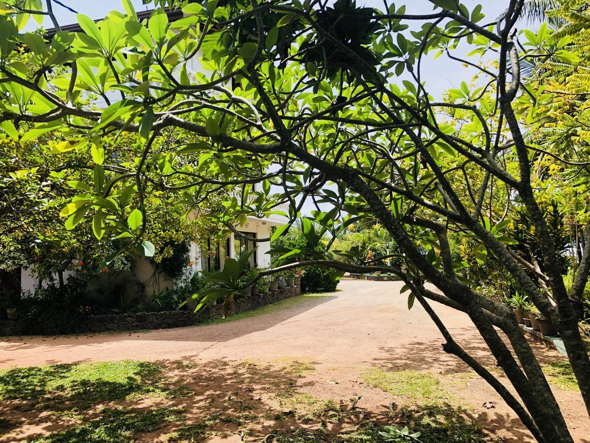 Hotel Lagoon Paradise Negombo Esterno foto