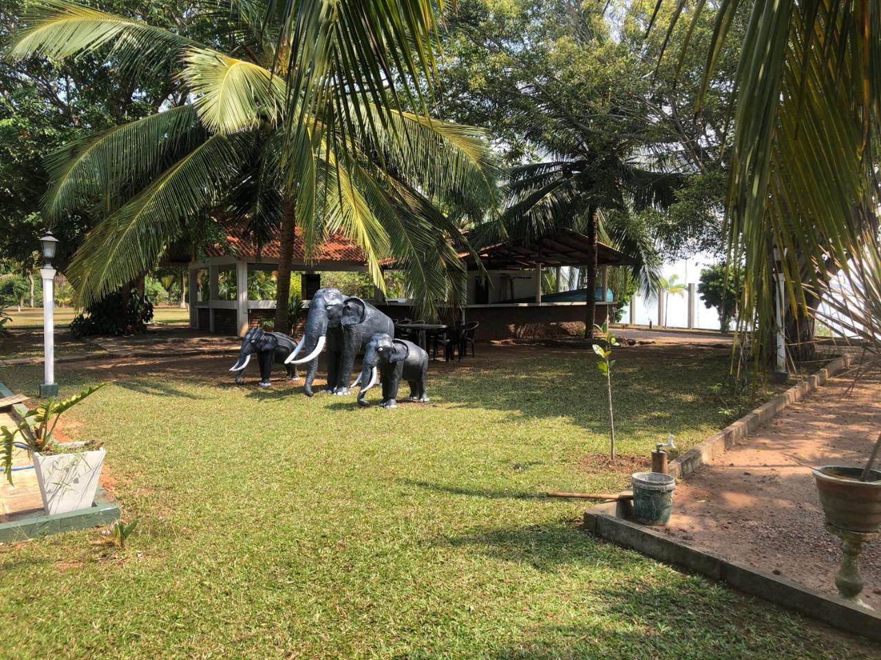 Hotel Lagoon Paradise Negombo Esterno foto